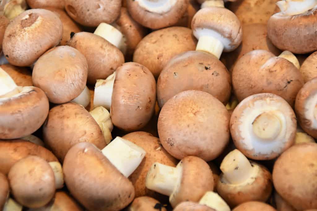 Canning mushrooms