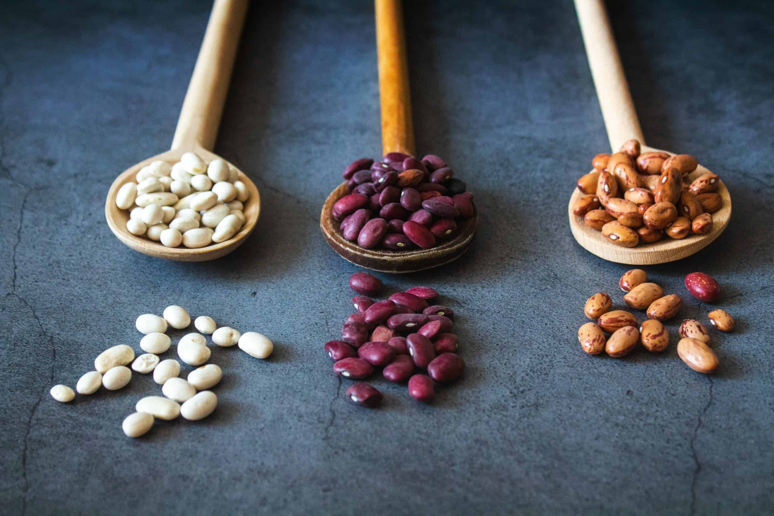 how-long-do-canned-beans-last-cannednation