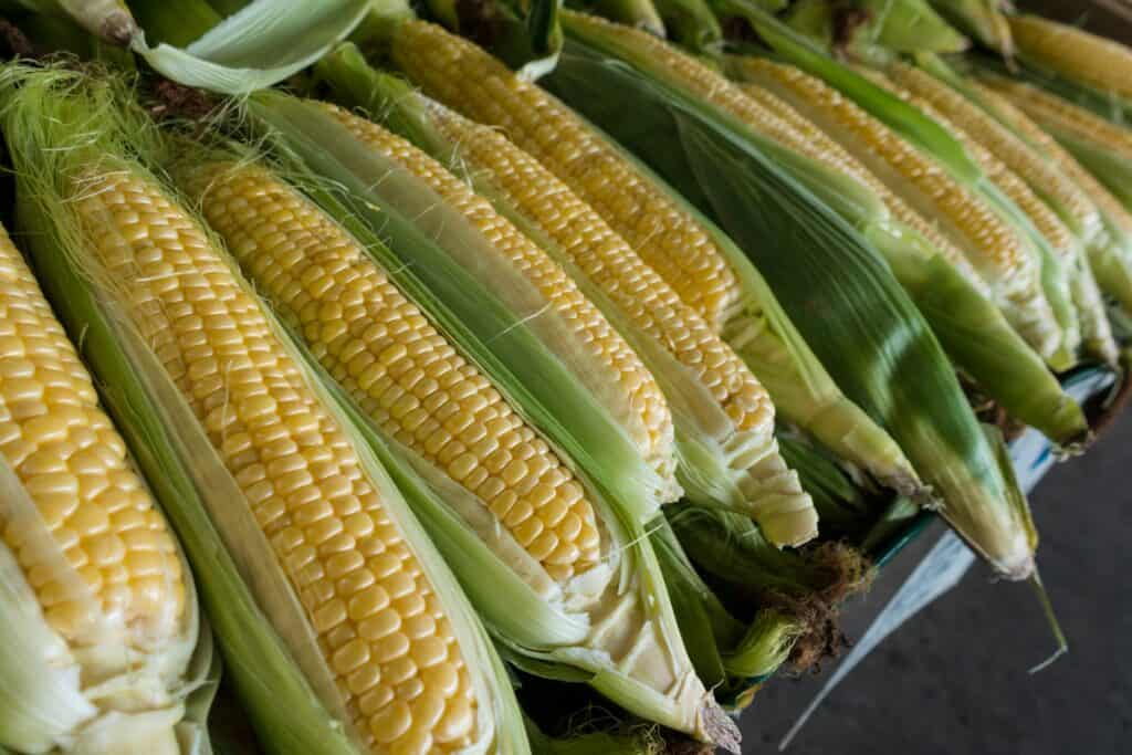 how to can corn