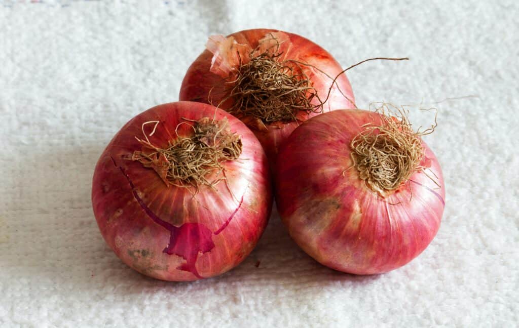 How Long do Different Types of Onions Last?