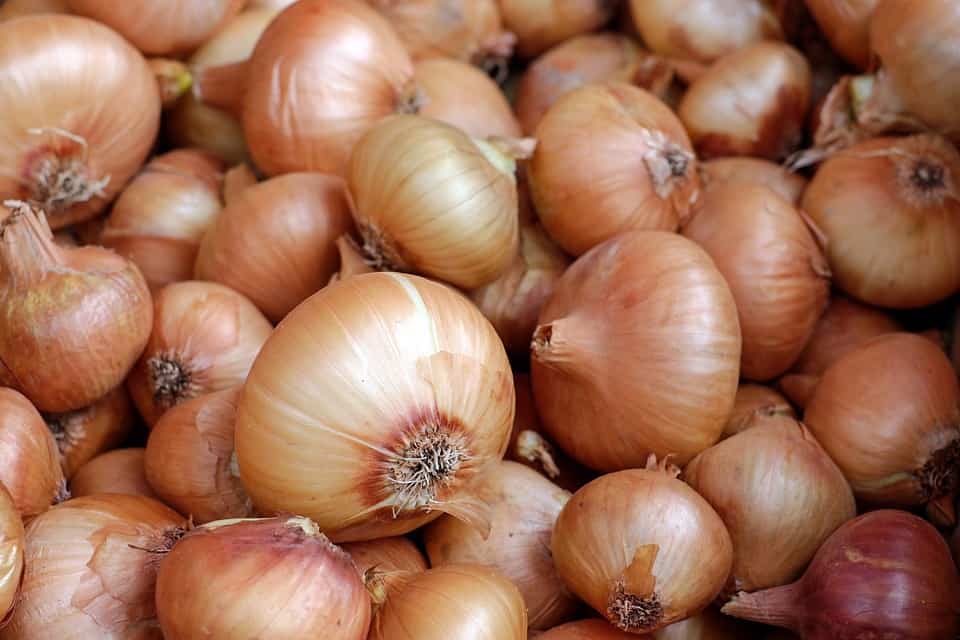 How to peel an onion
