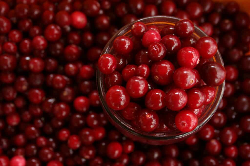 How to Dry Cranberries