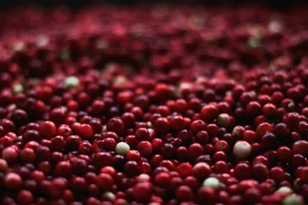 Dry Cranberries