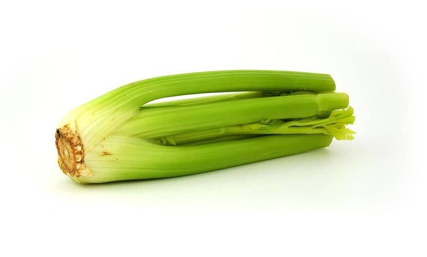 How to Store Pre-Cut Celery