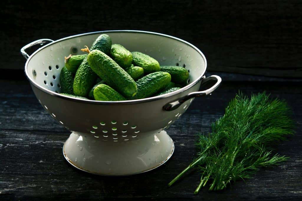 Can Dill Pickles