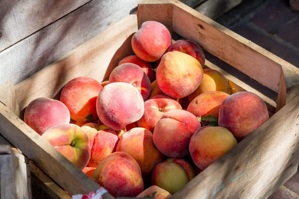 How to Store Dehydrated Peaches