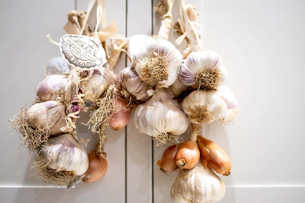 How to Dry Garlic