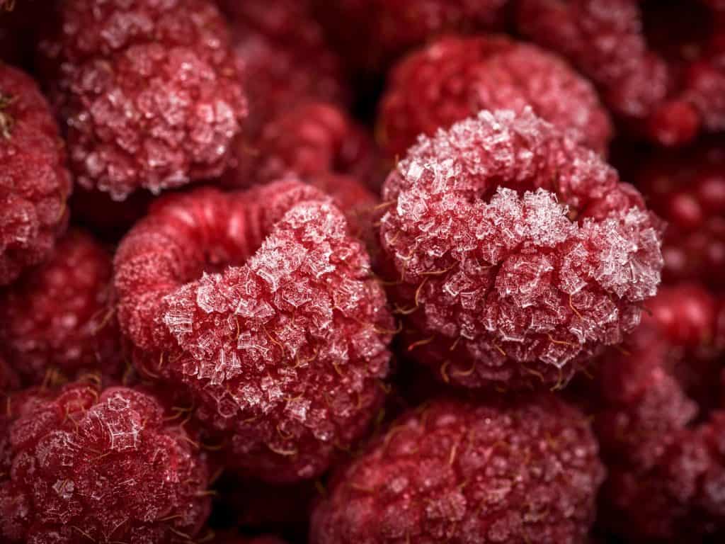 A group of frozen raspberries