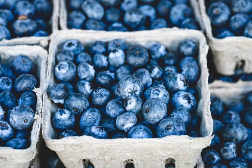 blueberries in cartons