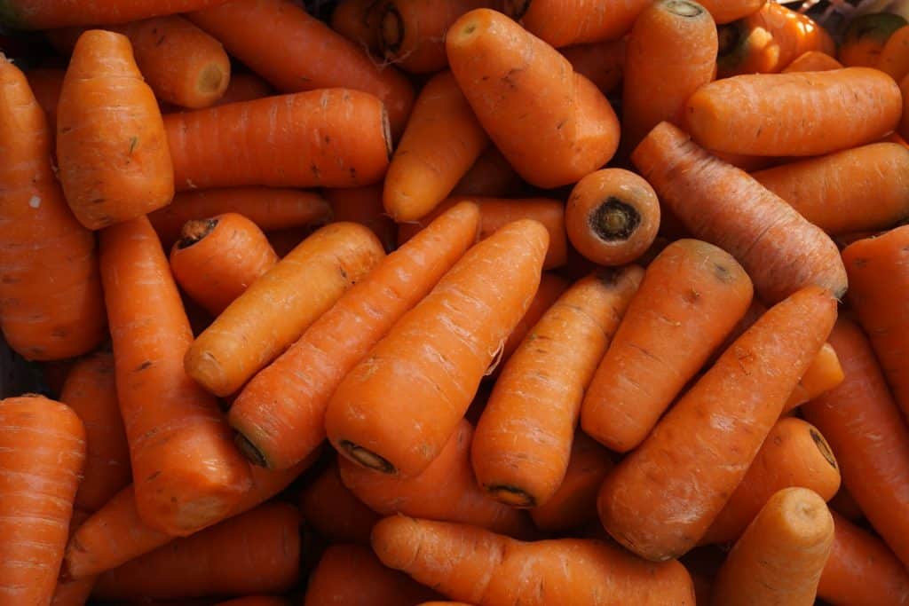 group of carrots spread out