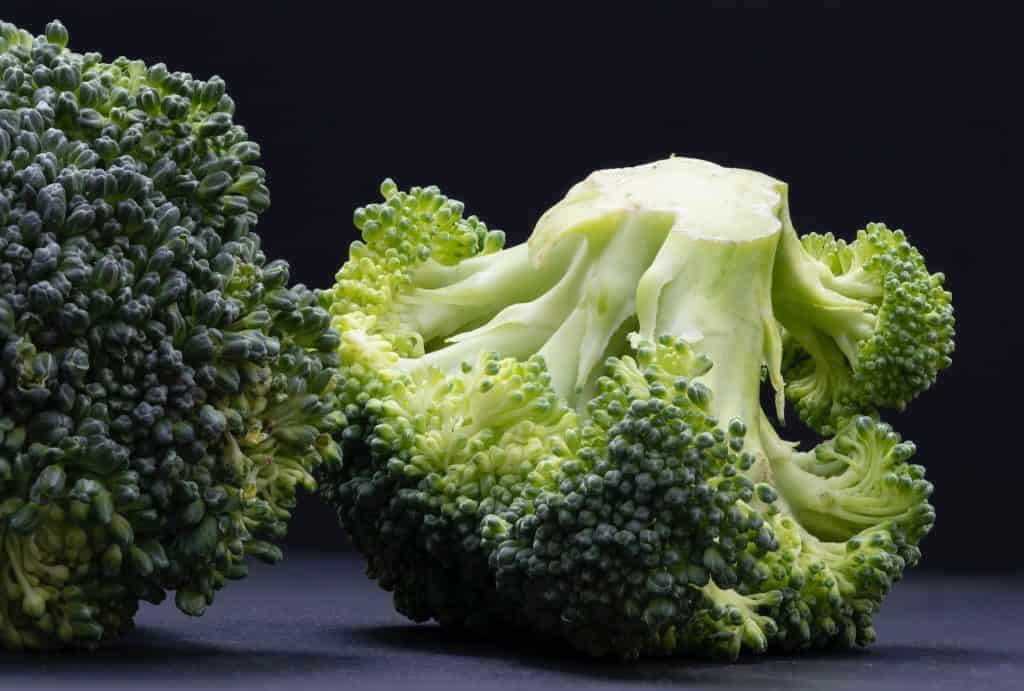 broccoli in black background