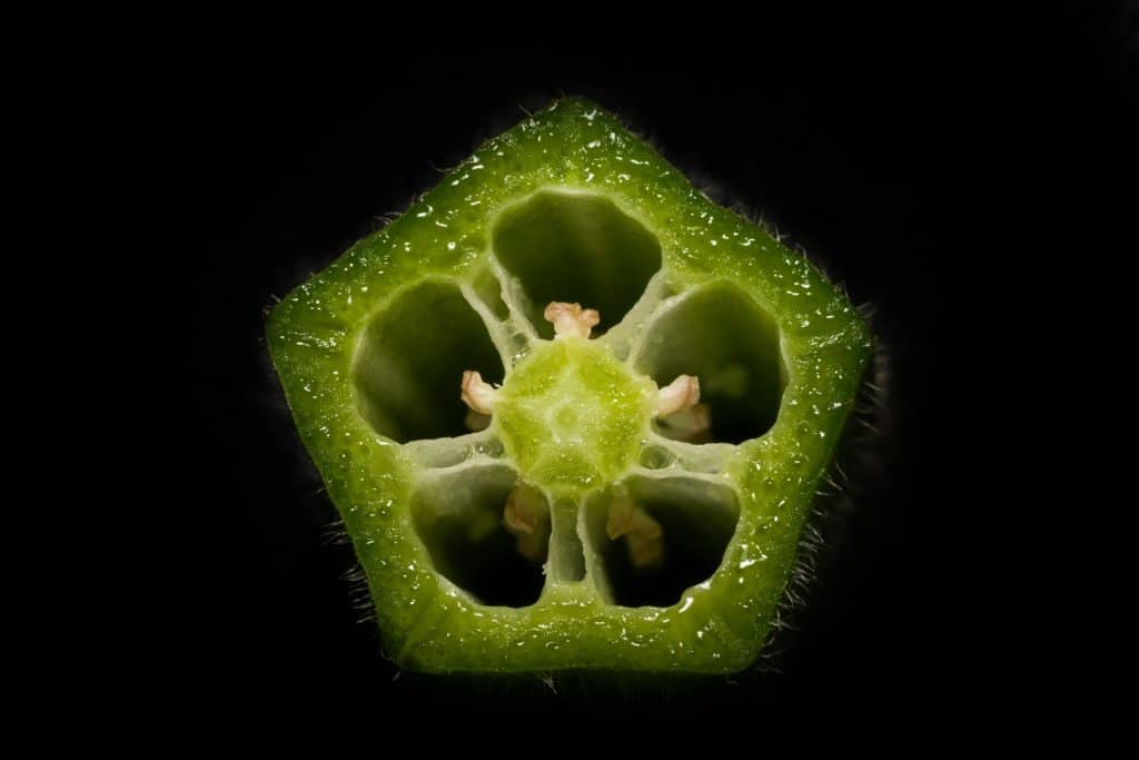 closeup of okra